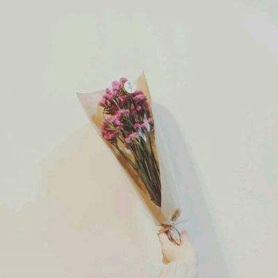 宝宝素描小画家下载游戏
